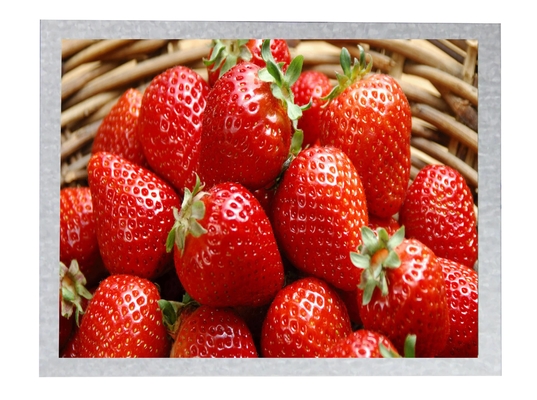 Βιομηχανικά TFT LCD σημεία ίντσας 800x600 οθόνης επίδειξης SVGA EJ080NA-05B CHIMEI INNOLUX 8,0